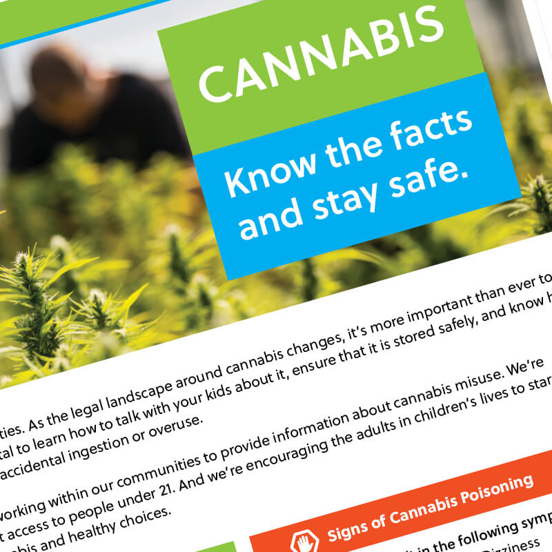Cannabis Flyer